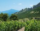 Dentelles de montmirail